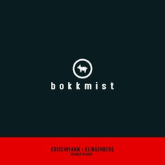 BOM003: Krischmann & Klingenberg - Schwarzfahrer