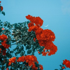 hate me 2 (ft. Cboy1) [prod. splashgvng]