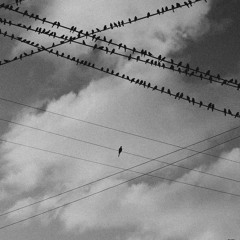 Kno Ya- Ft. Wik [ Prod. N3z ]