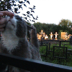 остатки памяти