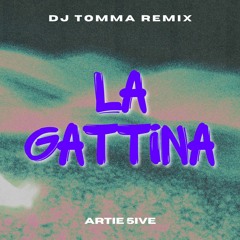 La Gattina (Remix Dj Tomma)