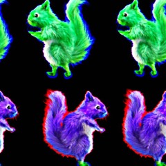 Squirrel2