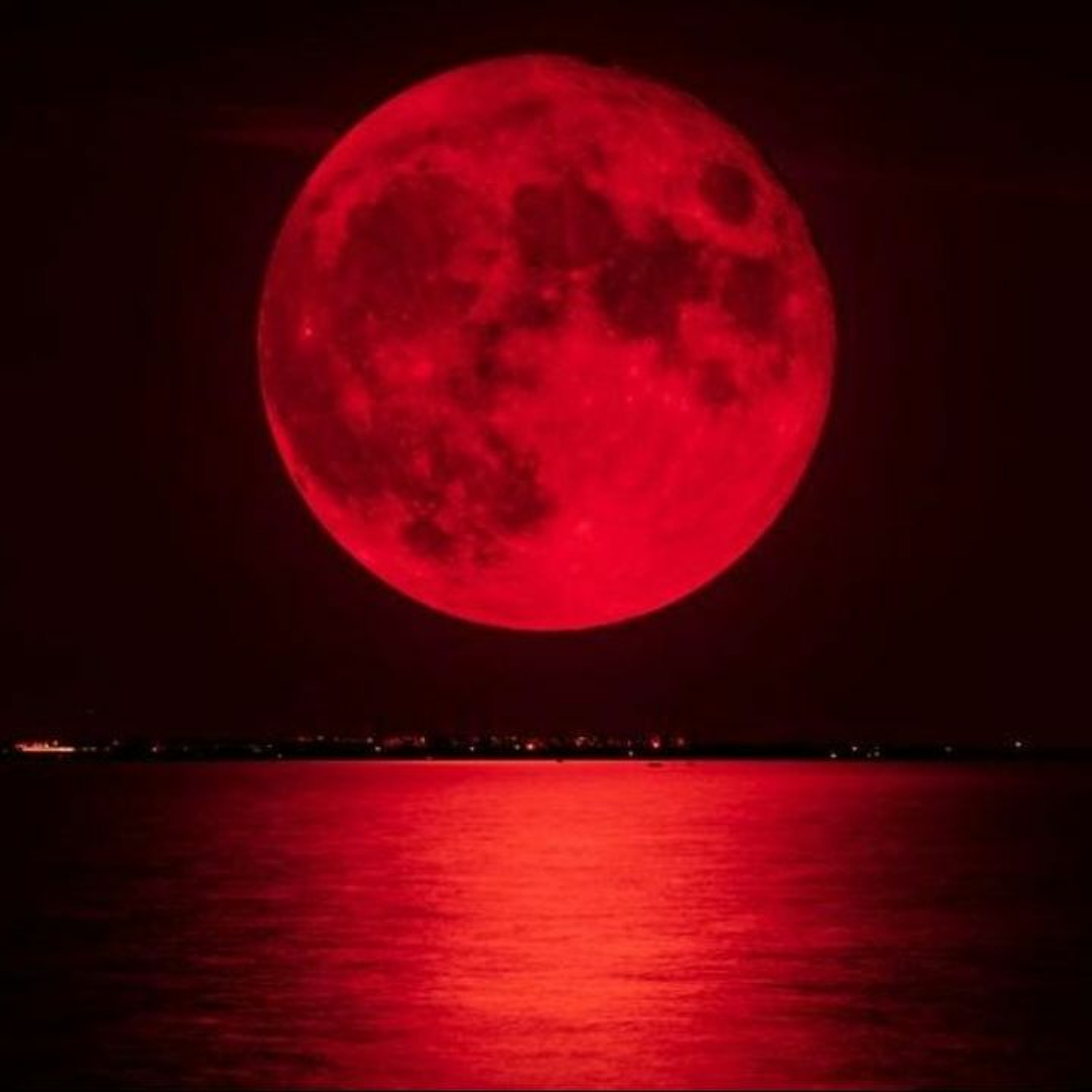 The Master\'s Voice Prophecy Blog