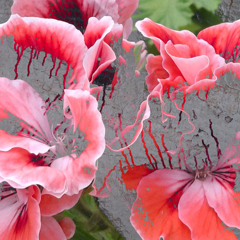 Sound Unfolds • (Un)Foldings III w/ Ioannis Kotsonis (28.04.2025)