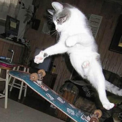 sir sparkalot