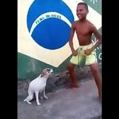 Brasileño bailando la cancion del perro😂🤣😂🐕