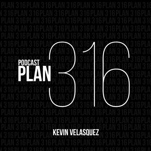 Plan 316 - Cap. 001 - Introducción