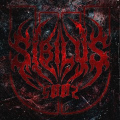 SØØ7 - SIBILUS | UNWIND RECORDS RELEASE