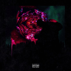 Ecstacy and LSD (prod. by @prodbysapjer)