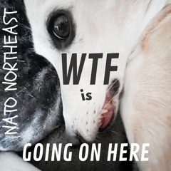 WTF IS GOING ON HERE LIKE HEWWW.wav