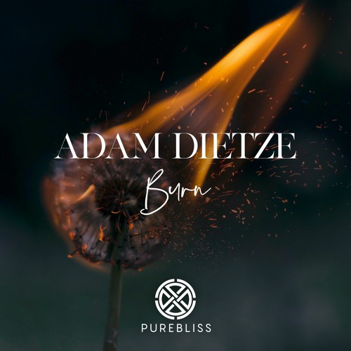 Adam Dietze – Burn