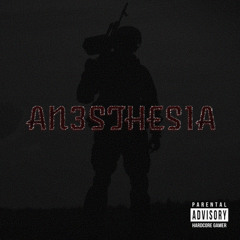 AN3STHES1A