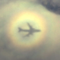 A̸ ̴L̸ ̶I̵ ̸E̵ ̶N̶