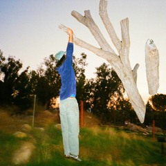 humpday blues mix by sheeilzzz