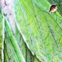 240704 Grone Q Feedback And Noise