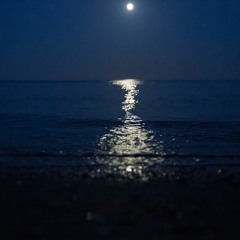 just the sea and moonlit sky