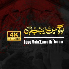 logo Main Zanaib Haan || Syed Saqlain Haider || Dua e Haideri