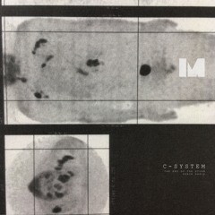 Morforecs 69 - C-System - The End Of The Storm