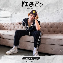 VIBES VOLUME 1- BIGMIKE