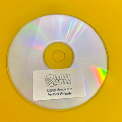 Digital Moods 002 // Various Friends - Vault Fragments EP