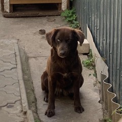 Душа