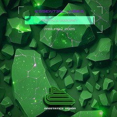 Neostatics Vision - Essential Vibes Podcast #047 (24.01.2025)