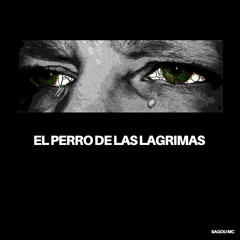 8.-Hoy