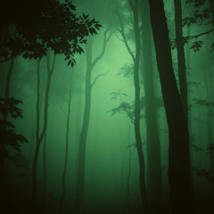 Rios Silenciosos - Projeto Naves