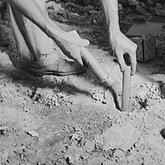 Drop Like Dynamite [2024]