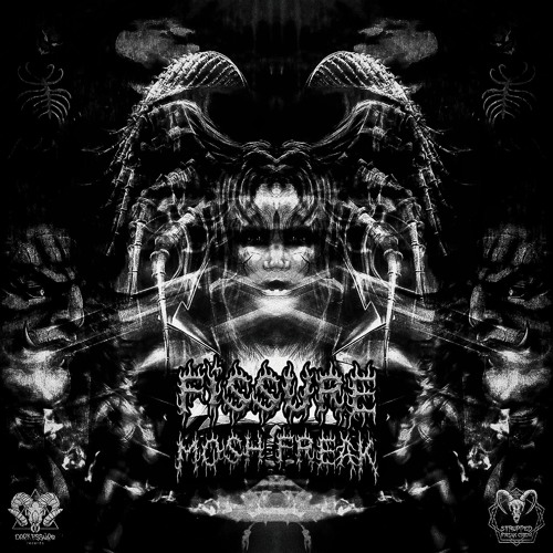 Varios Artistas - VA - Fissure Mosh FreaK - 01 Ingr D - Enter The Void