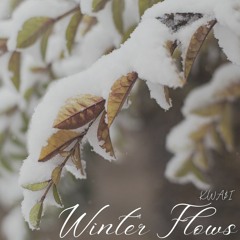 Winter Flows (Prod by earth2kwasi)