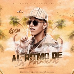 AL RITMO DE LAS PALMERAS
