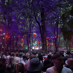 Likkle More Jungle
