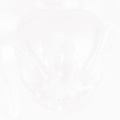 texture011 (๑﹏๑)