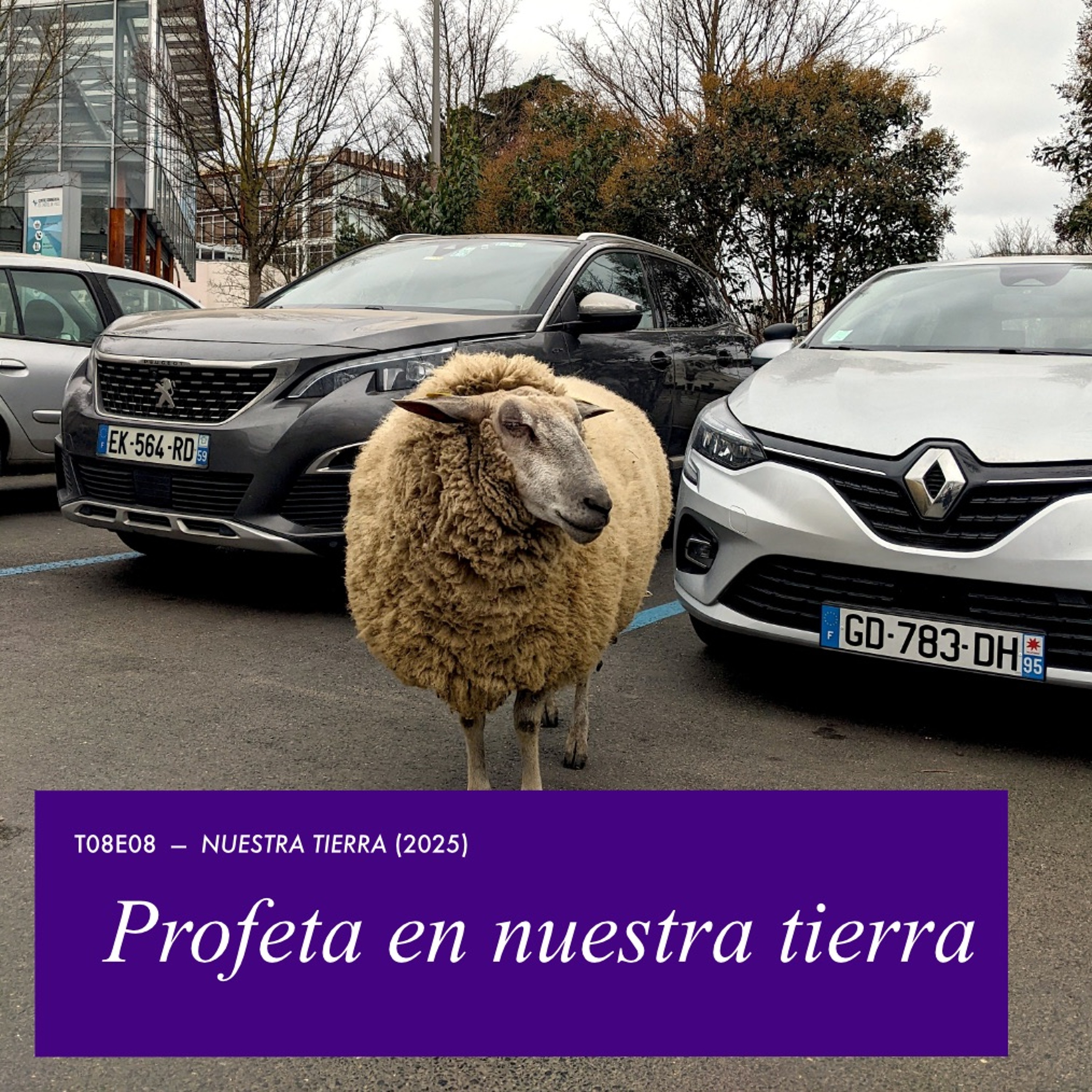 T08E08 - Profeta en nuestra tierra