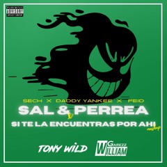 SAL Y PERREA x SI TE LA ENCUENTRAS POR AHI (William Garezz & Tony Wild Mashup) FREE