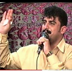 يا من هواه اعزه واذلني عبد الامير العماري