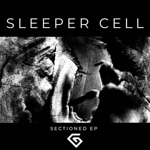 Sleeper Cell - Sectioned