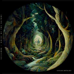SzilardK - Awakenings [Stellar Limited]