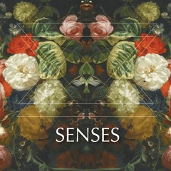 LIVE at SENSES 2017