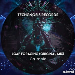 Trail Pick: Grumble - Loaf Foraging (Original Mix) [Techgnosis Records]