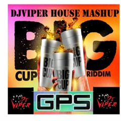 GPS (Ricardo Drue) Hype House Mashup DjViper