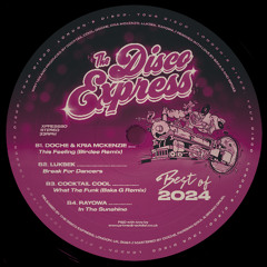 Doche ft. Kria McKenzie - This Feeling (Birdee Remix)