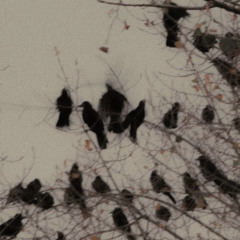 gel chipped like that bitches tooth