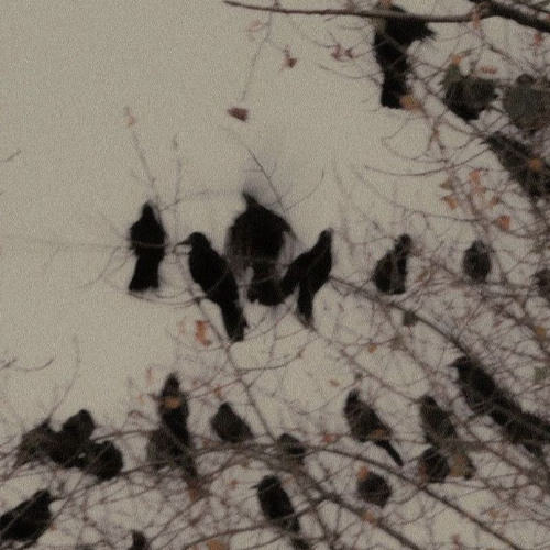 gel chipped like that bitches tooth