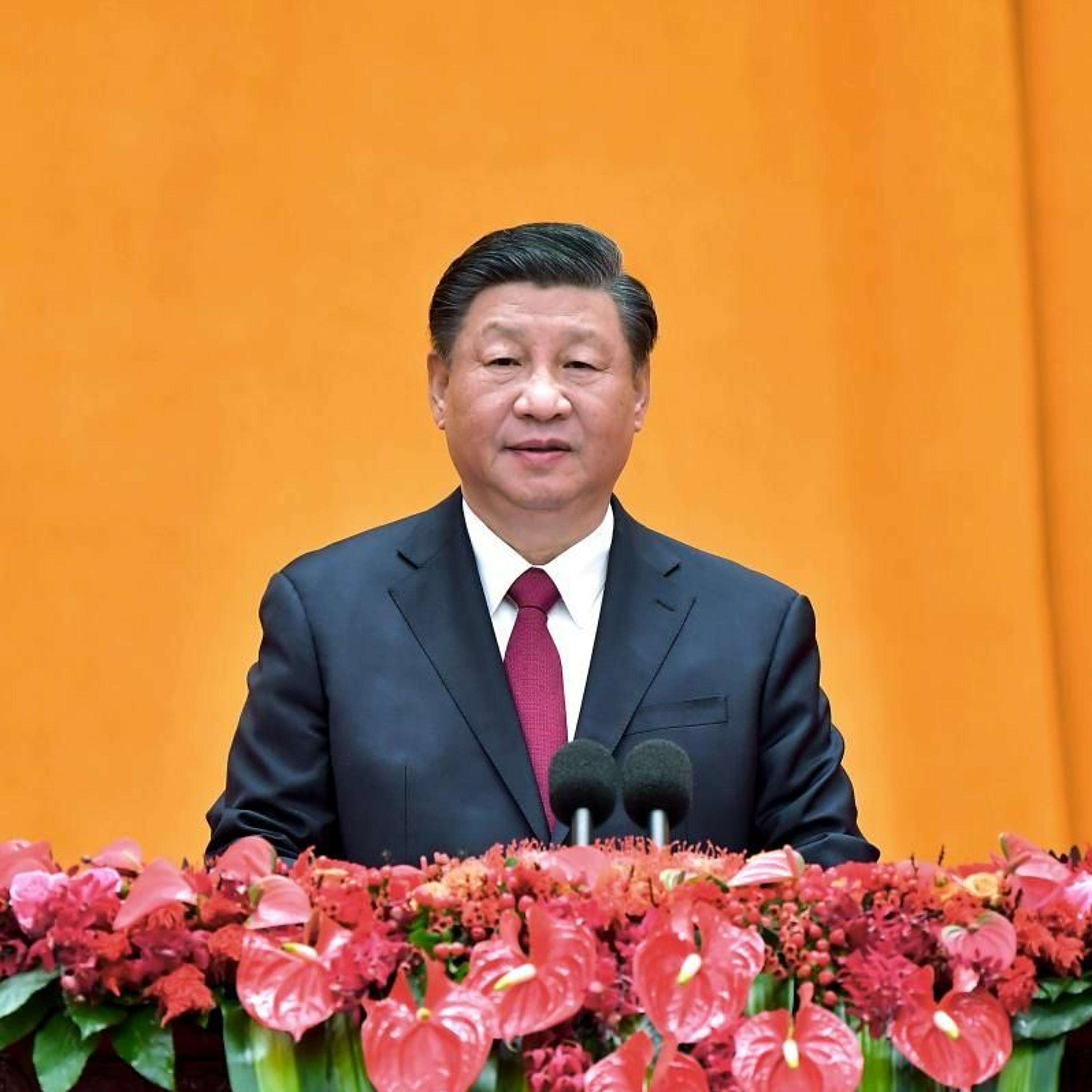China Daily Global Insights : Xi Urges Efforts To Secure China’s Green Assets