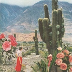 “Nothing Fades Like The Light”