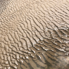 Seismic