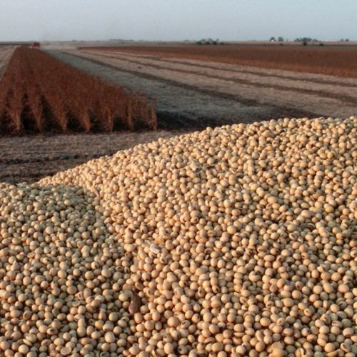 Stream episode Farm Progress America, February 20, 2025 by Farm
