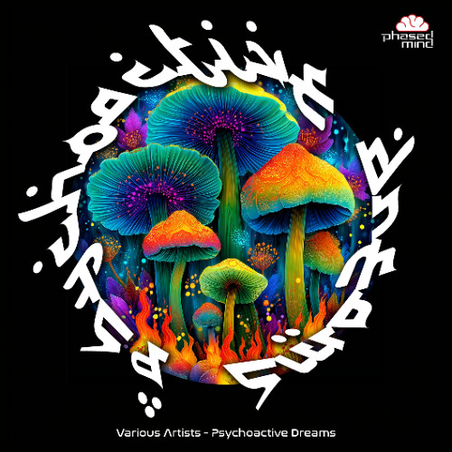 Naudhiz - Spiritual Connection (Preview)